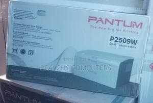 Pantum P2509W