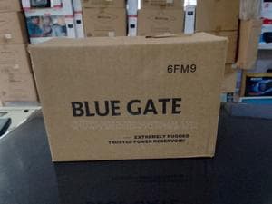 Bluegate 12v 9ah Ups Battery