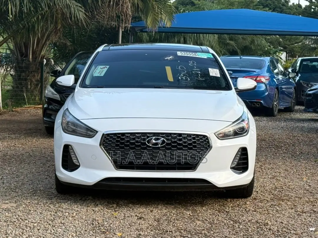 2019 Hyundai Elantra Sport